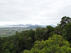 Cairns034