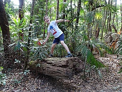 Cairns047