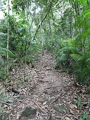 Cairns054