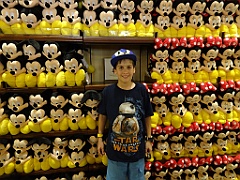 DisneyWorld242