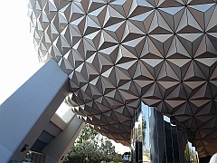 DisneyWorld043