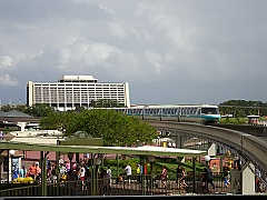 DisneyWorld243