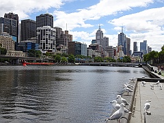 Melbourne046