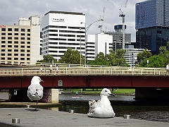 Melbourne047