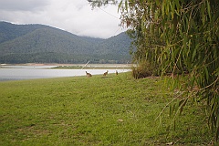 Cairns042