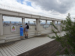 Osaka207