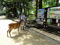 Osaka331