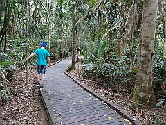 Cairns024