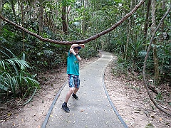 Cairns025