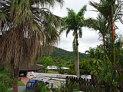 Cairns063