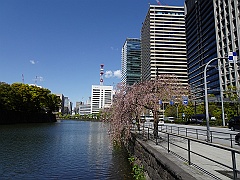 Tokyo043