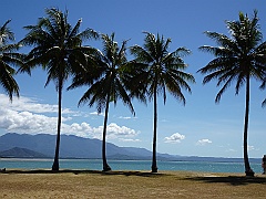 Cairns145