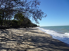 Cairns030