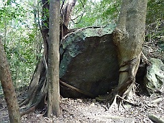 Cairns004