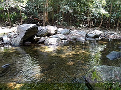 Cairns031