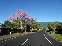 Cairns044