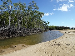 Cairns007