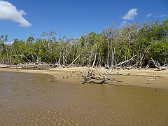 Cairns008