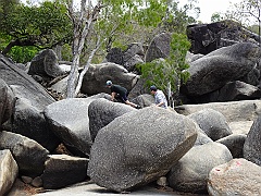 Cairns032