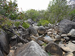 Cairns035