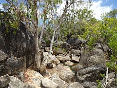 Cairns036