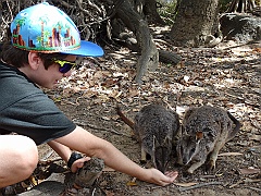 Cairns048