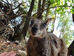 Cairns051