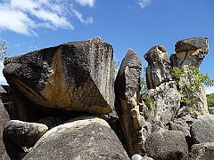 Cairns054