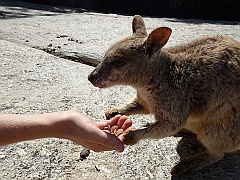 Cairns066