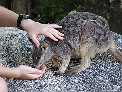 Cairns080