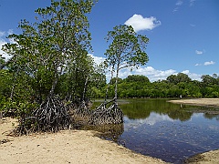 Cairns047