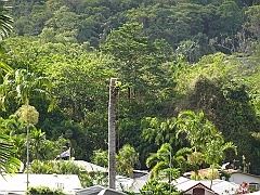 Cairns032