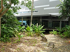 Cairns06