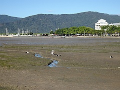 Cairns09