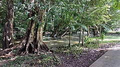 Cairns07