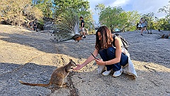 Cairns108