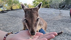 Cairns127