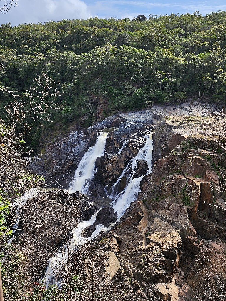 Cairns044.jpg