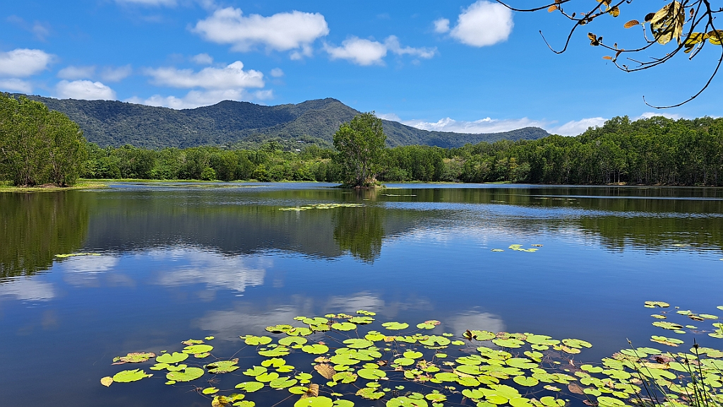 Cairns065.jpg