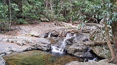 Cairns022